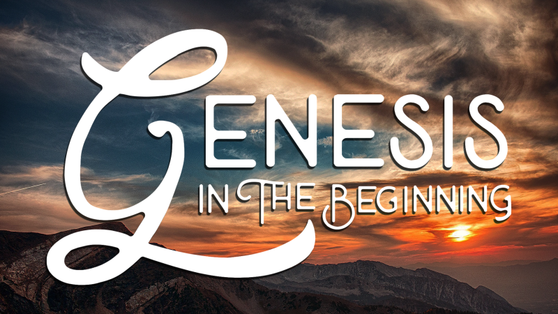 Genesis: In the Beginning